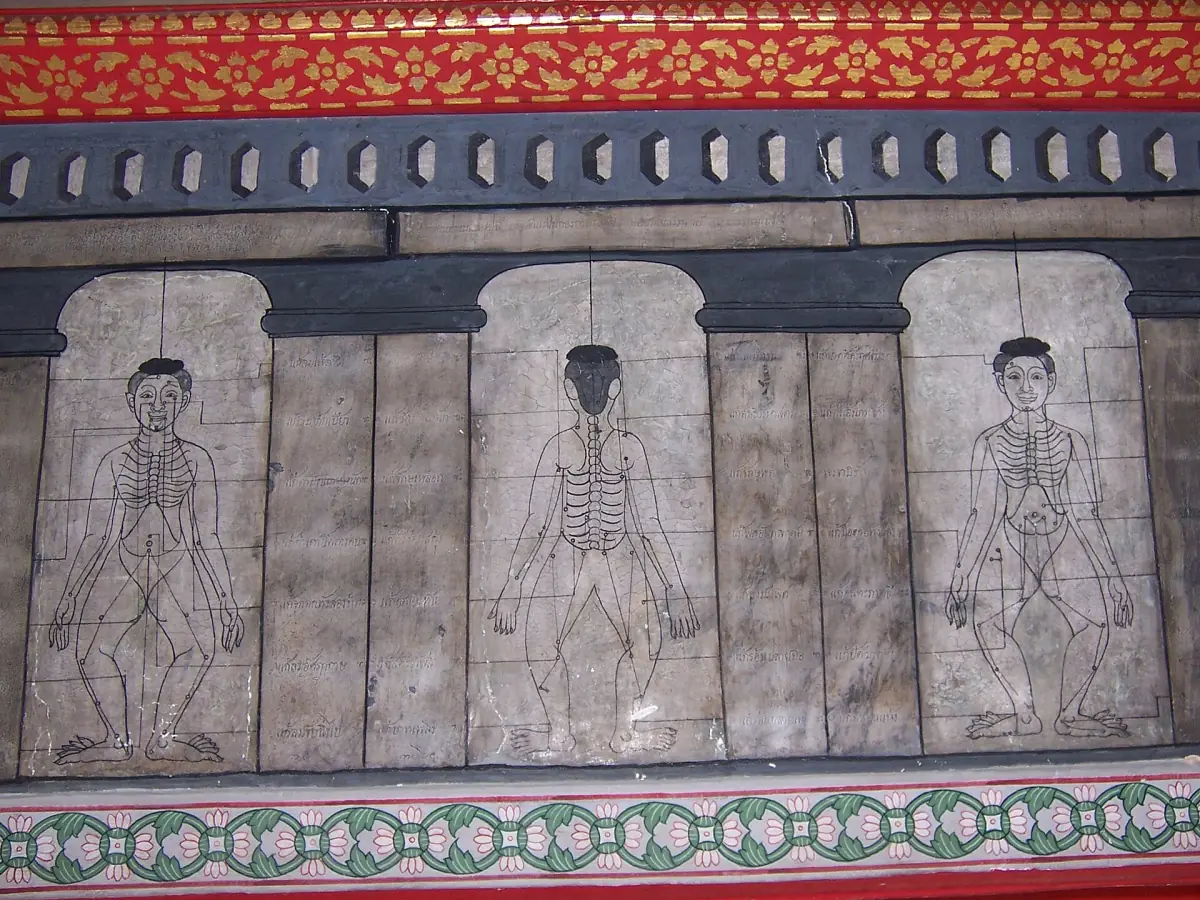 Drawings of acupressure points on the Sen lines at Wat Pho